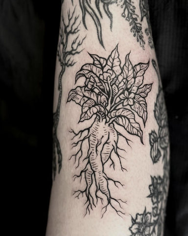 liner cartridges needles