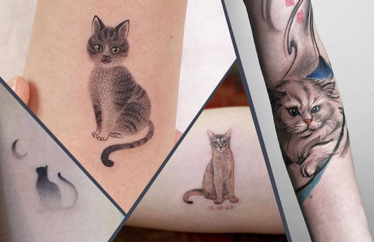 What are the top8 introductory things to know about tattoos before getting a tattoo?