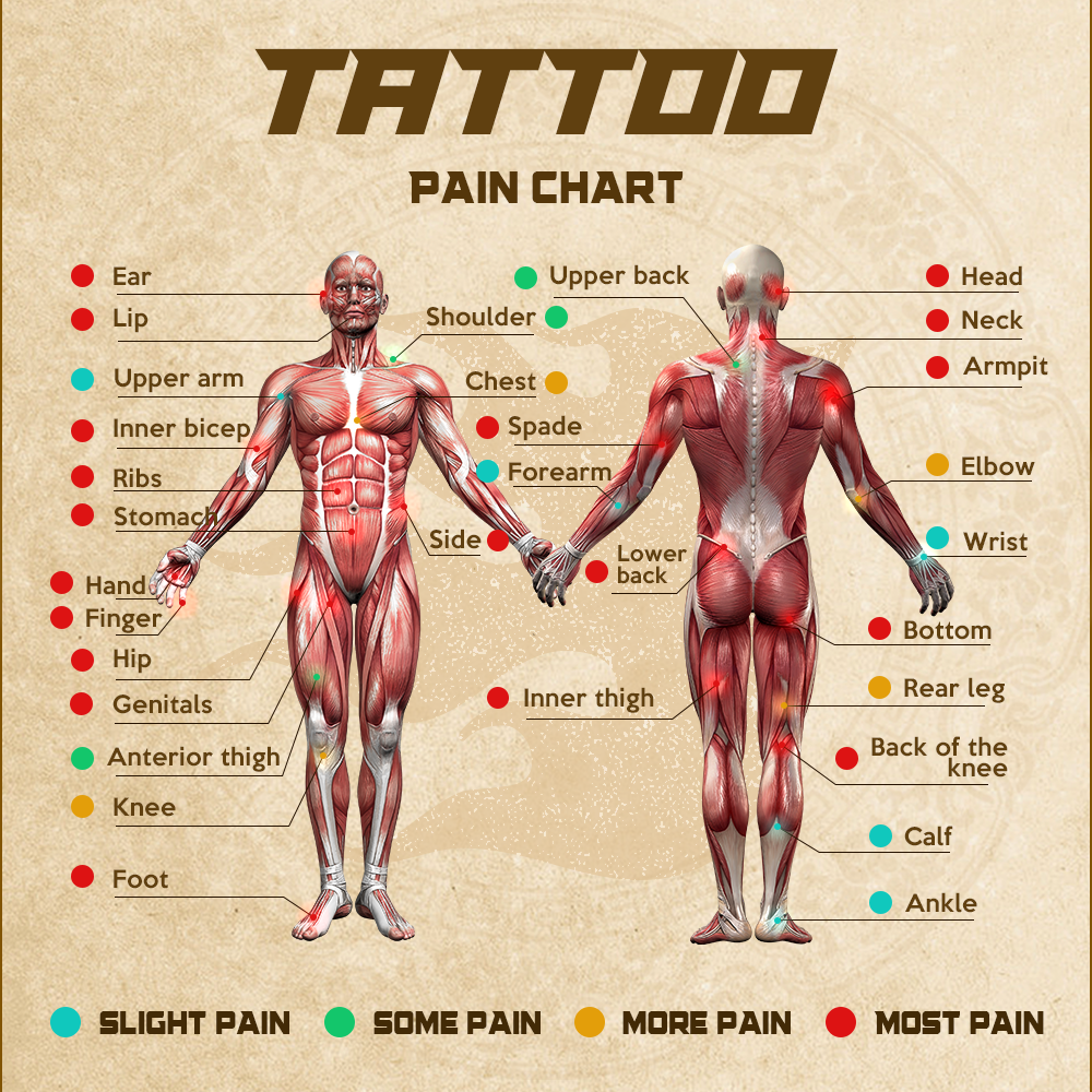 TATTOO PAIN CHART